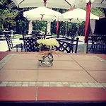 Park Izvorite 3* Kotel