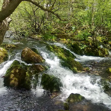 度假村 Park Izvorite