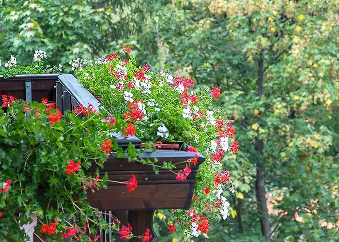 Park Izvorite 3* كوتيل