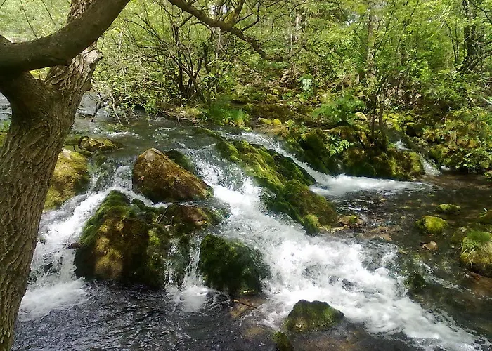 منتجع Park Izvorite